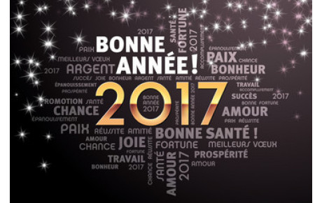 Meilleurs vœux 2017