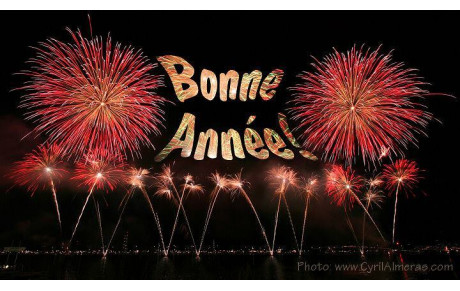 Meilleurs Voeux 2018