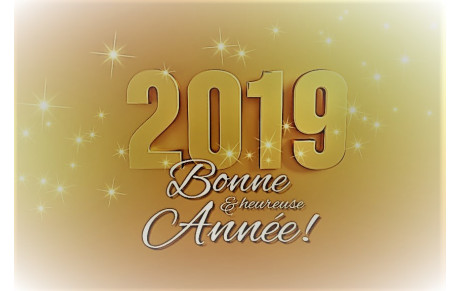 Vœux 2019